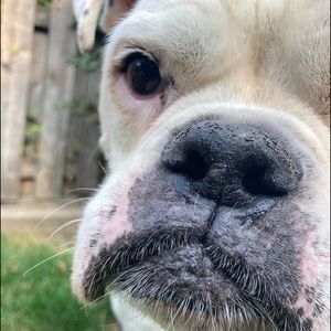 Meet your Posher, Cat